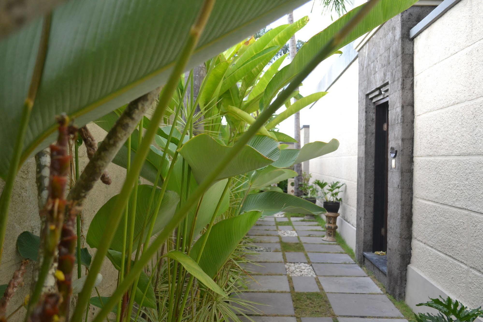 סמיניאק D'Alang Alang Villas מראה חיצוני תמונה